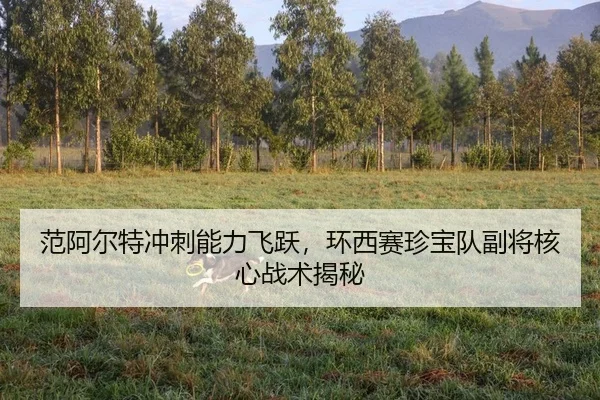 范阿尔特冲刺能力飞跃，环西赛珍宝队副将核心战术揭秘